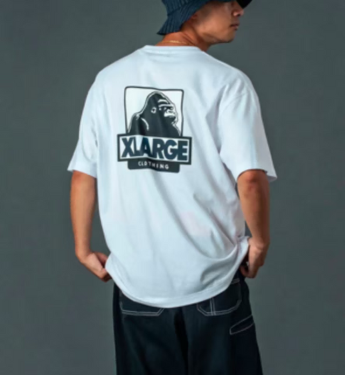 ODM custom graphic printed men's cotton t-shirt male model back street wearing shot Haideyu